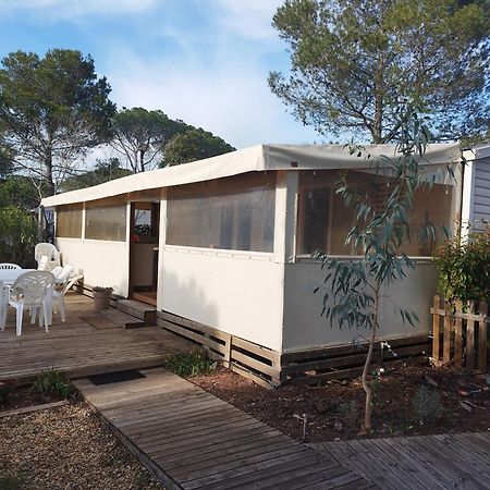 Mobil Home A Louer Dans Camping Des Cigales Le Muy 5 Etoiles Eksteriør bilde